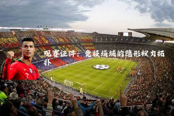 观赛证件:竞技场域的隐形权力拓扑